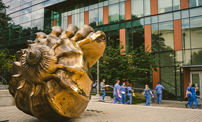 Medical professionals wearing blue scrubs enter Dell Medical School's Health Learning Building. In the foreground, a large shell art sculpture that resides outside the building.